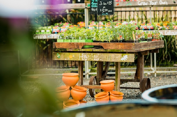 Images Eden at Byron