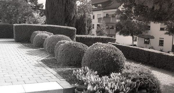 Bilder Zorn & Partner Immobilien GmbH