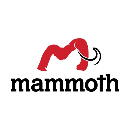 Mammoth Restoration Arizona - Flagstaff, AZ 86001 - (928)714-0050 | ShowMeLocal.com