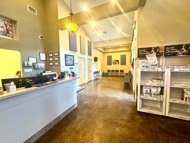 Images VCA Lecanto Animal Hospital