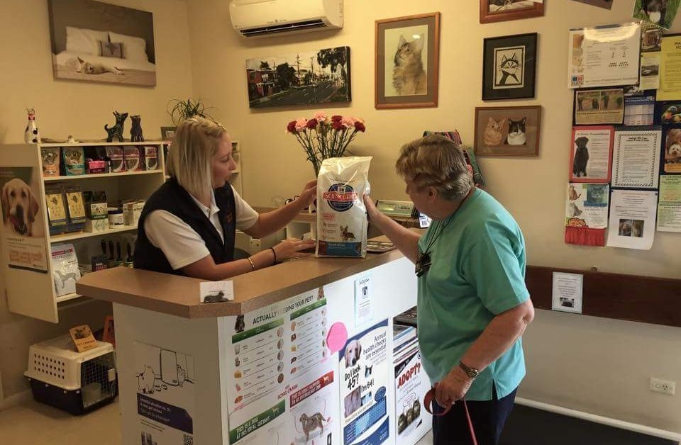 Images Glenvale Veterinary Clinic