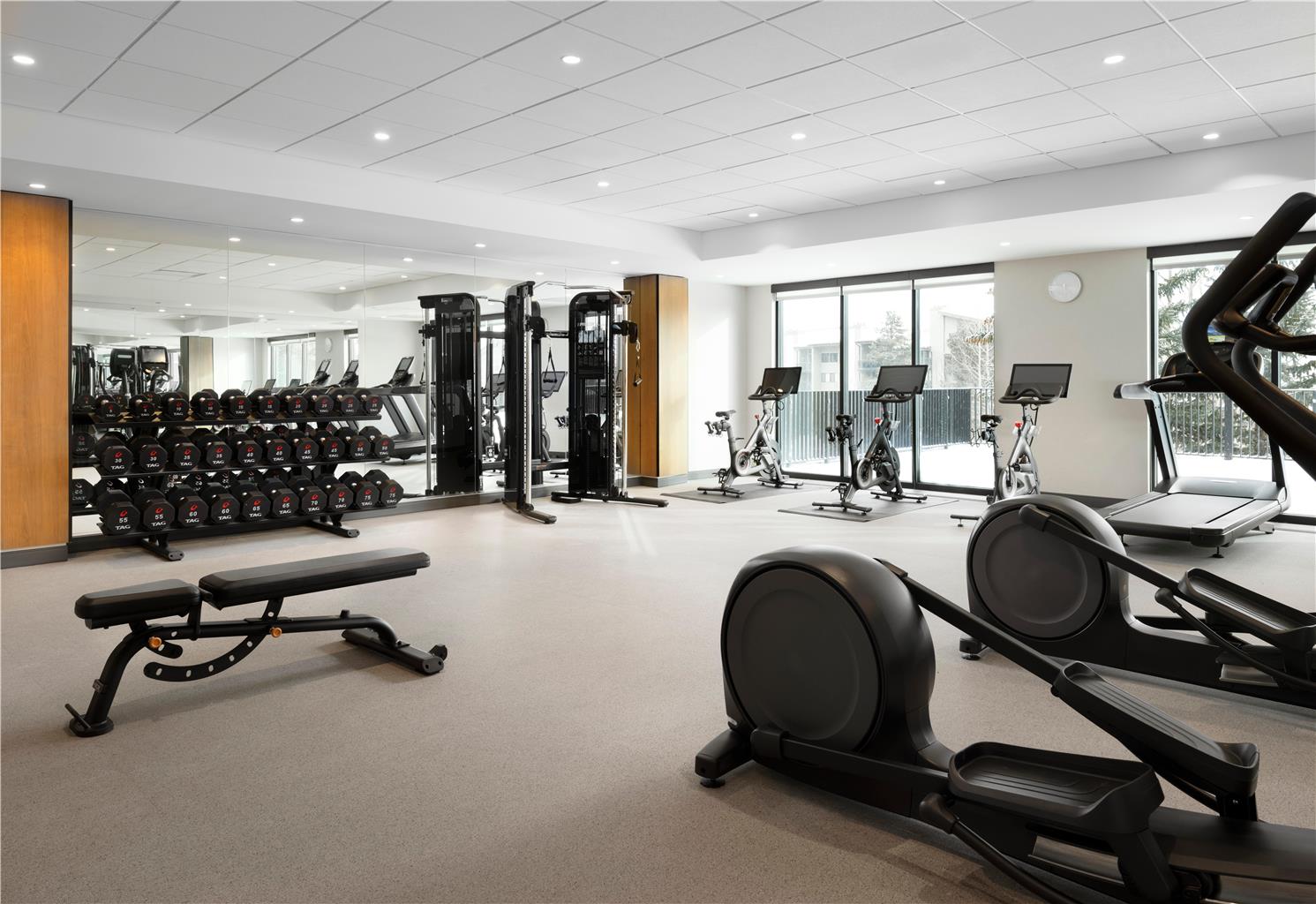 Health club  fitness center  gym