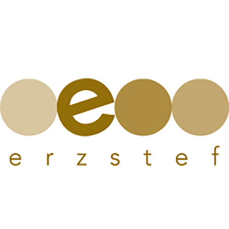 Erzstef Erzgebirgische Steppdeckenfabrik GmbH in Ehrenfriedersdorf - Logo