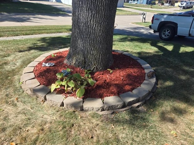 Images 3 Seasons Plantscaping