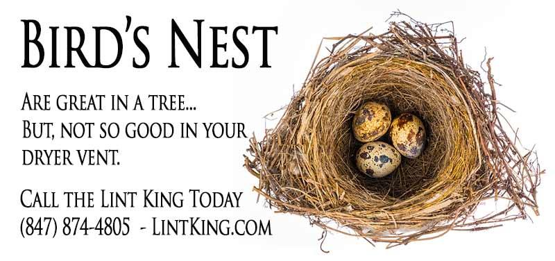 The Lint King Dryer Vent Cleaning Experts. Bird nest removal and vent cleaning.
