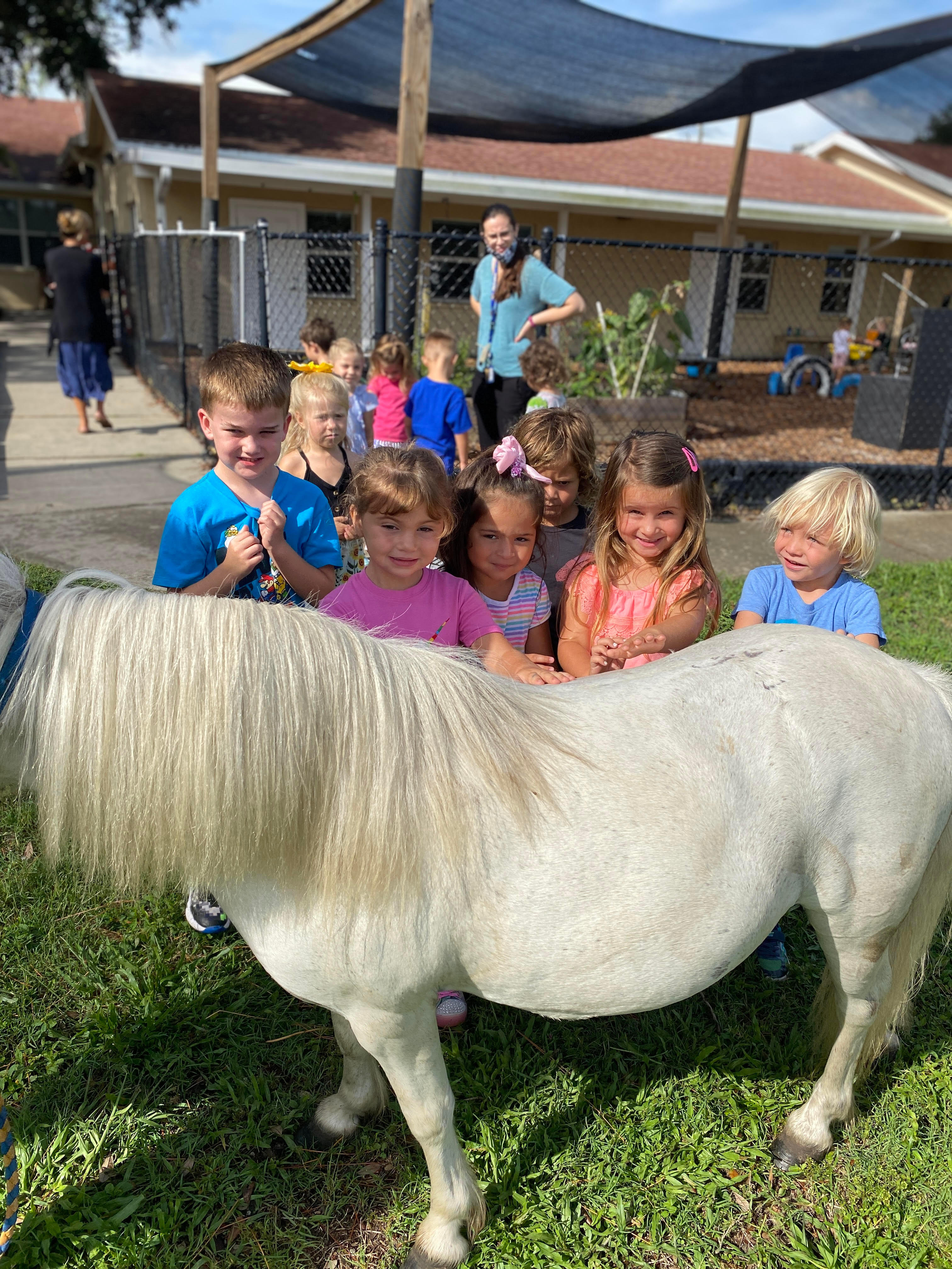 Preschool students getting a visit from farm friends