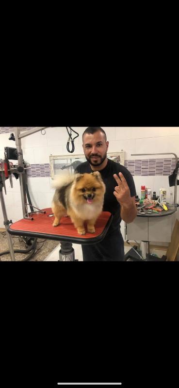 Images Pet Fashion - Toelettatura Professionale