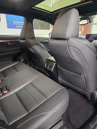 Images Top Dog Auto Ceramics