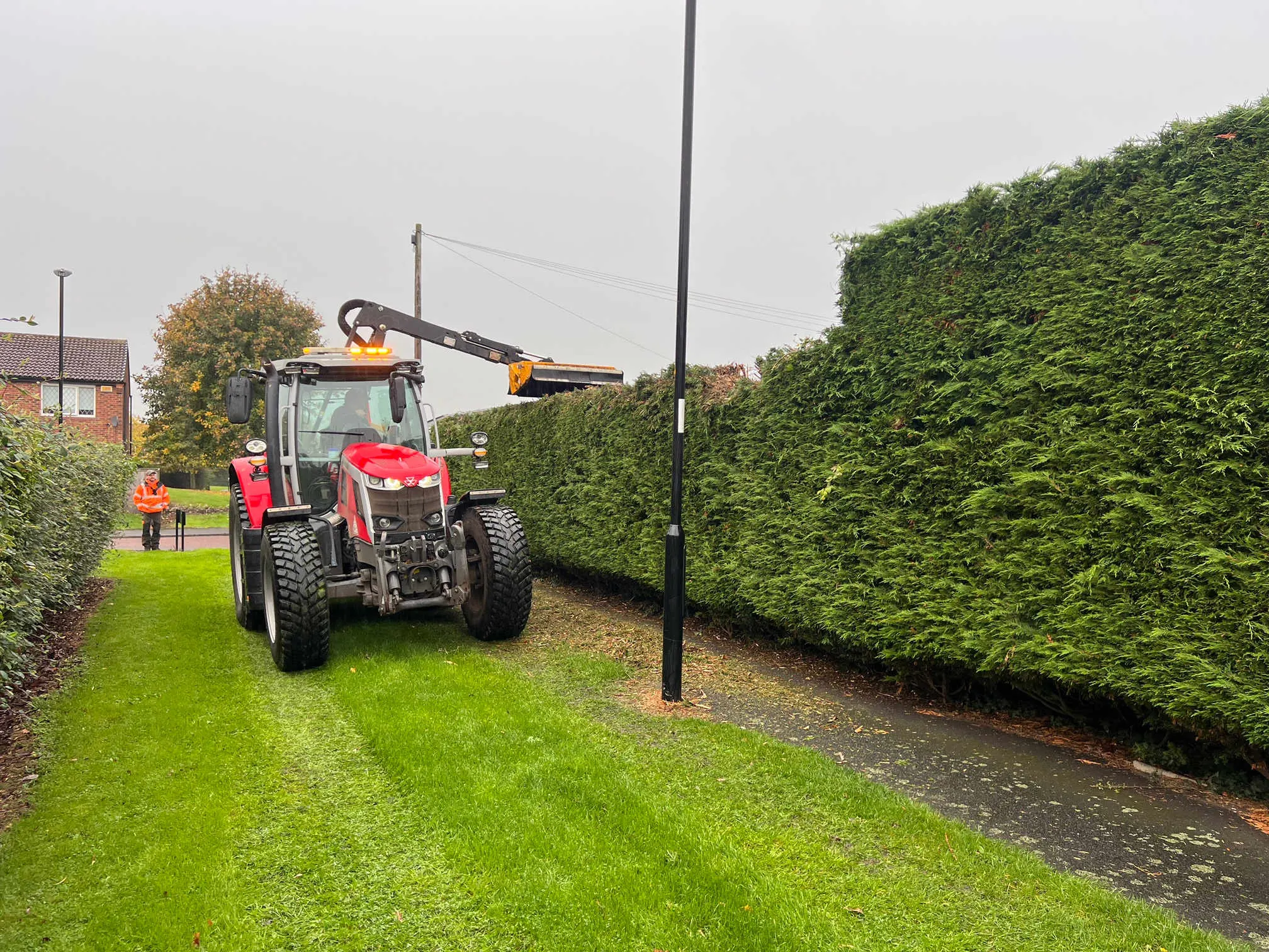 Images Tree Wise Men (NE) Ltd