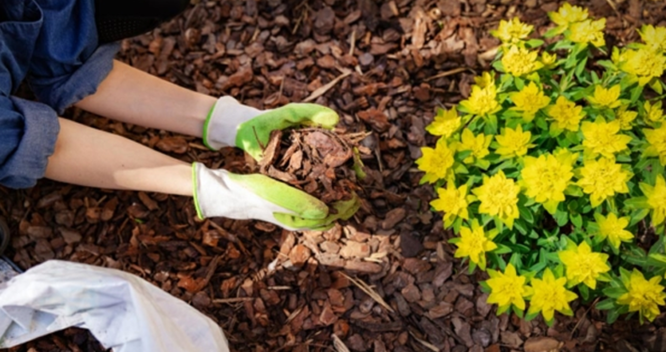 Images Mjøsanlegget AS