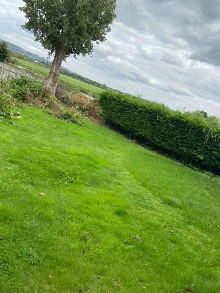 Images Oakwood Tree & Landscaping Services