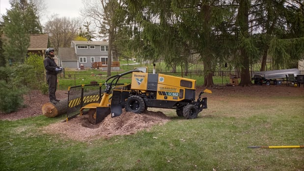 Images Steven R Bassett Inc.