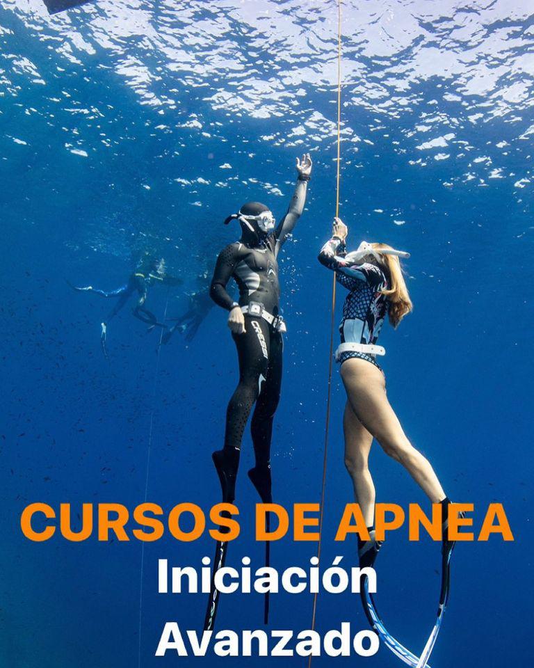 Images Starfish Diving Mallorca