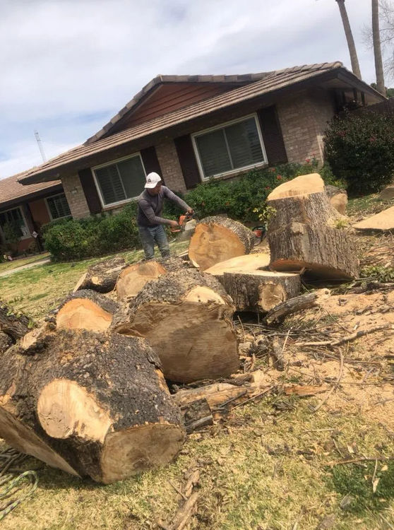 Images A Hernandez Landscaping