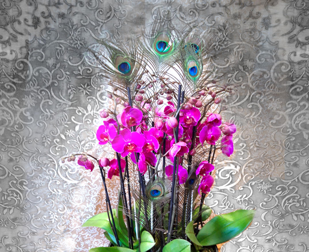 Kundenbild groß 16 Blumen Anemone