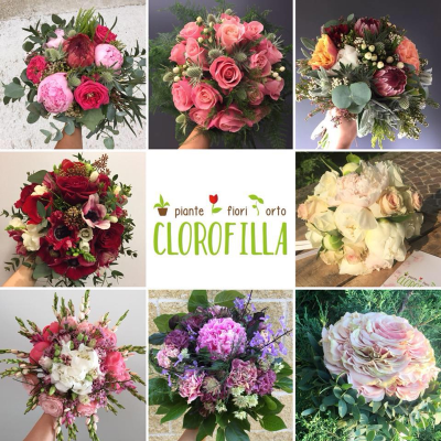 Fiorista Clorofilla Logo