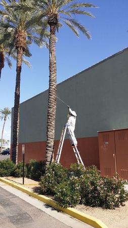 Images Arizona Termite, Pest and Weed  Lic #9297