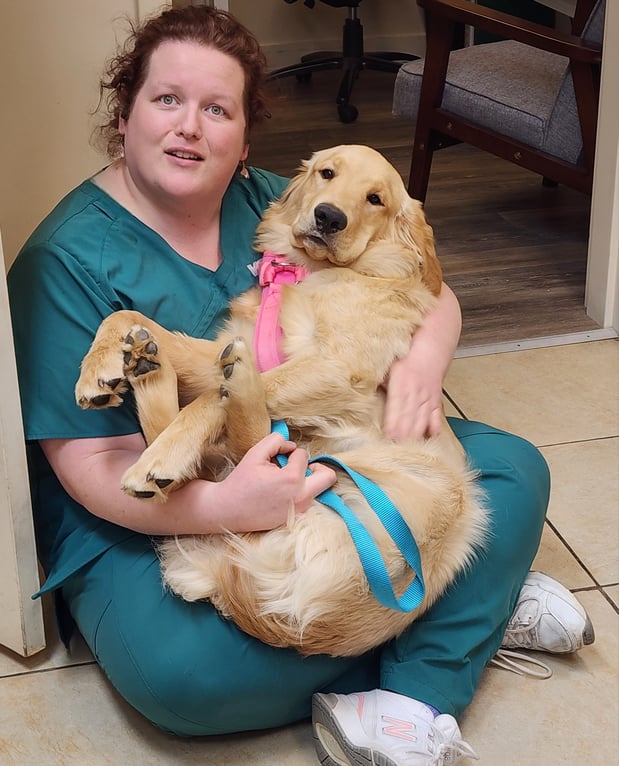 Images VCA Old Trail Animal Hospital