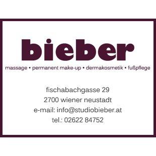 Studio Bieber Logo