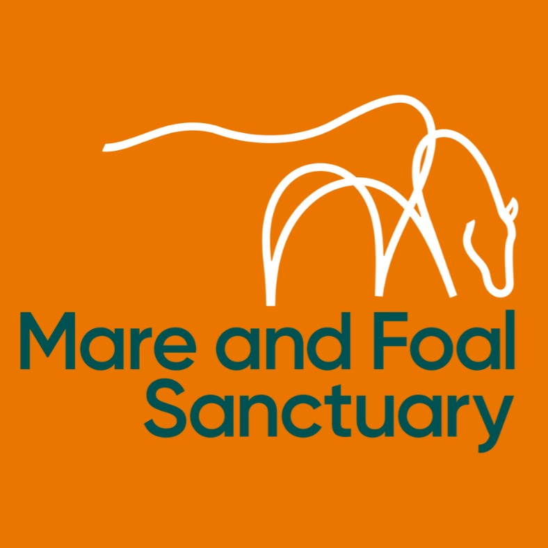 The Mare and Foal Sanctuary Logo