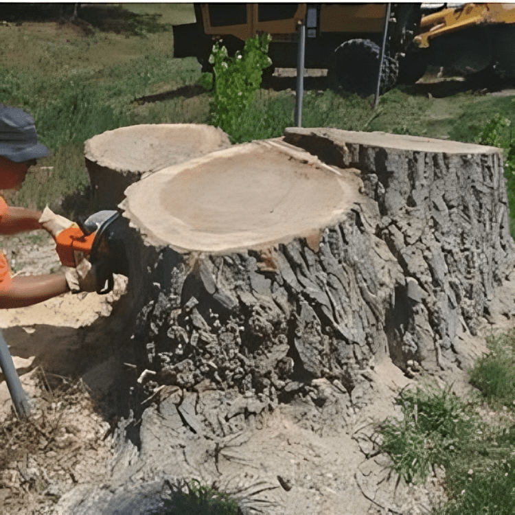 A-1 Stump Removal
