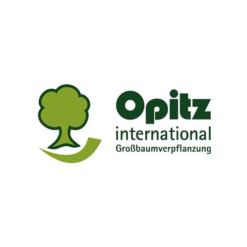 Logo Opitz GmbH & Co. KG Großbaumverpflanzung