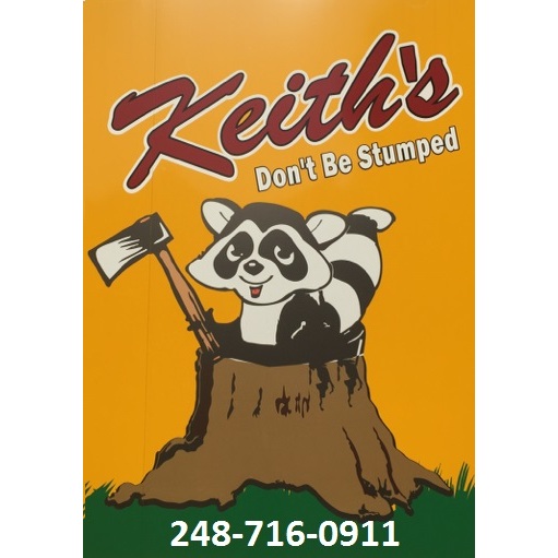 Keith's Stump Removal