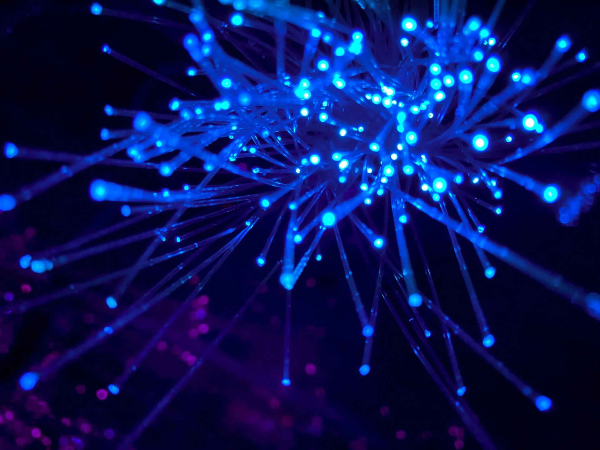 A close-up, abstract photograph showcases a cluster of glowing blue fiber optic strands against a dark background. The strands, illuminated with bright blue light at their tips, branch out in various directions, creating a dynamic and futuristic effect. Some out-of-focus purple bokeh lights are visible in the background, adding depth and a touch of mystery to the scene.