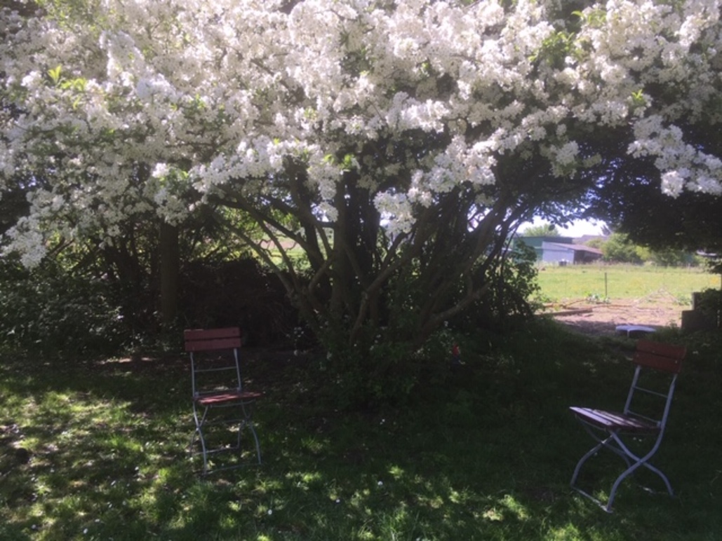 Images Psykologen på Landet