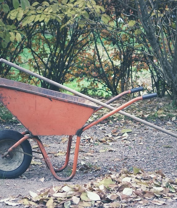 Images Handy Home Solution Clean