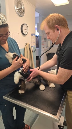 Images Closter Animal Hospital