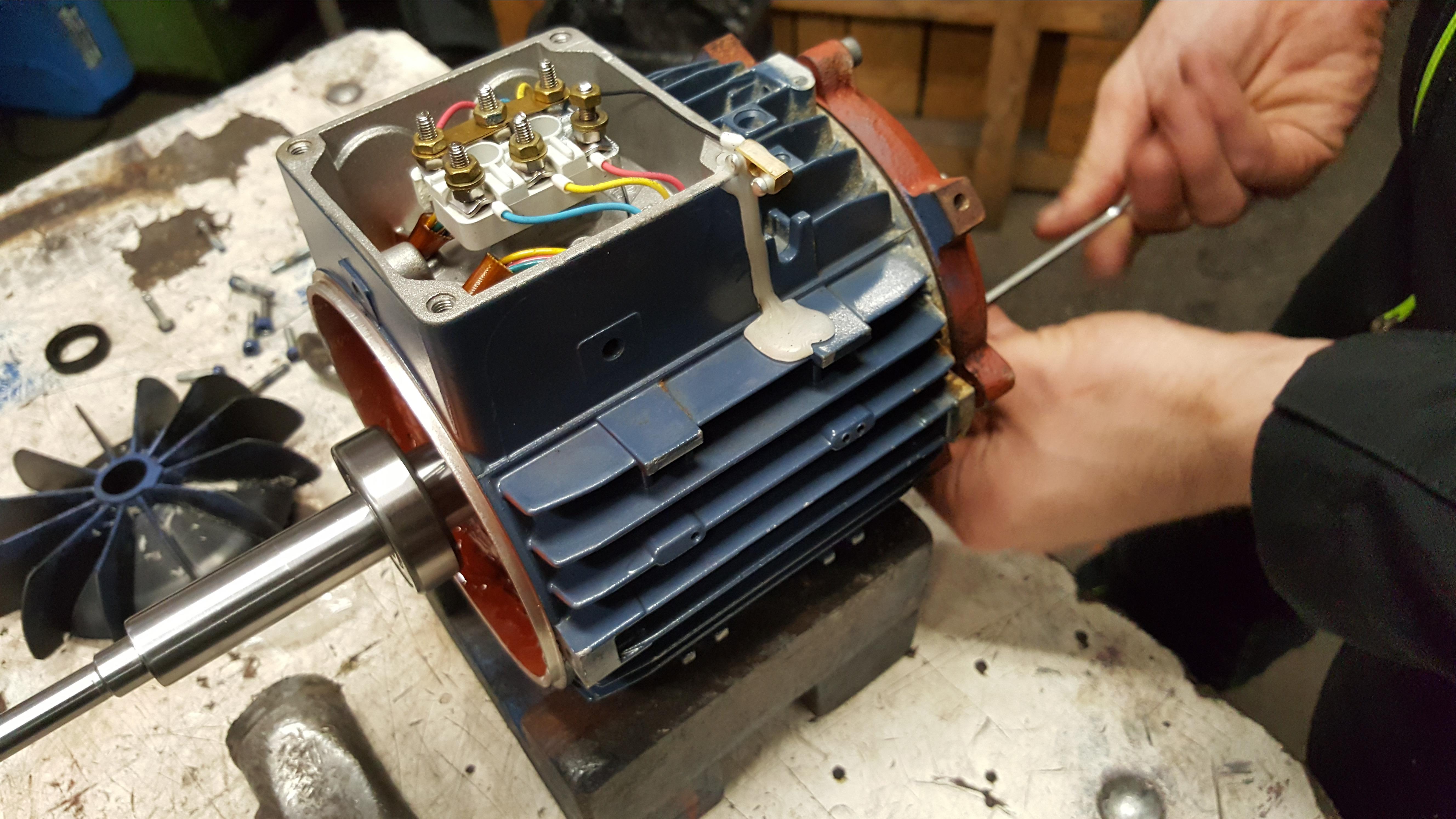 Wolfgang Graf, Albertgasse 11 in Wien