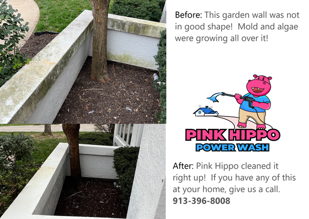 Images Pink Hippo Power Wash