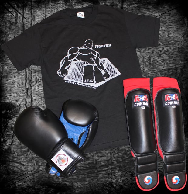 Images Aguirre's Fighting System