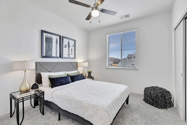 Images Arrive Longmont