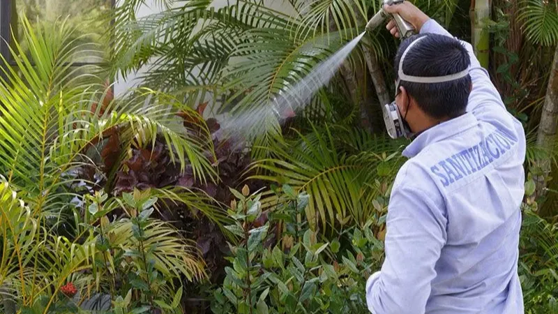 Images Fumigaciones Peninsulares