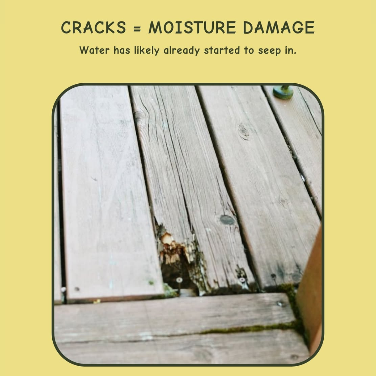 Images Homehapi Pty Ltd - Gardening & House Maintenance