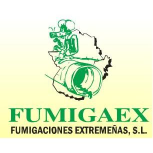 Fumigaex Mérida