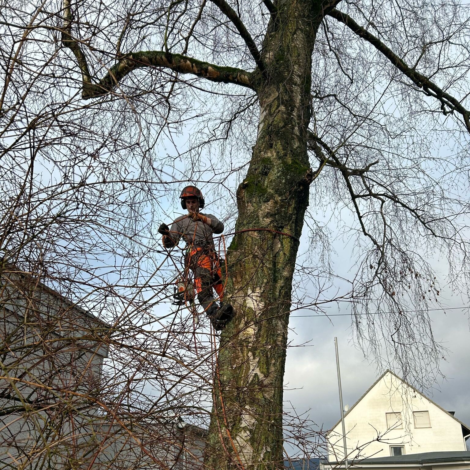 Baumdienst Behan, Im Winkel 22 in Schalksmühle