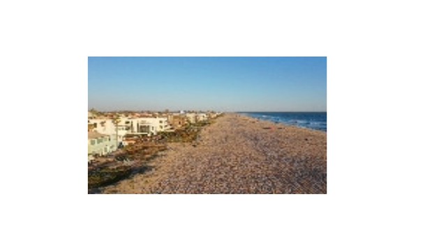 Images Bird High View