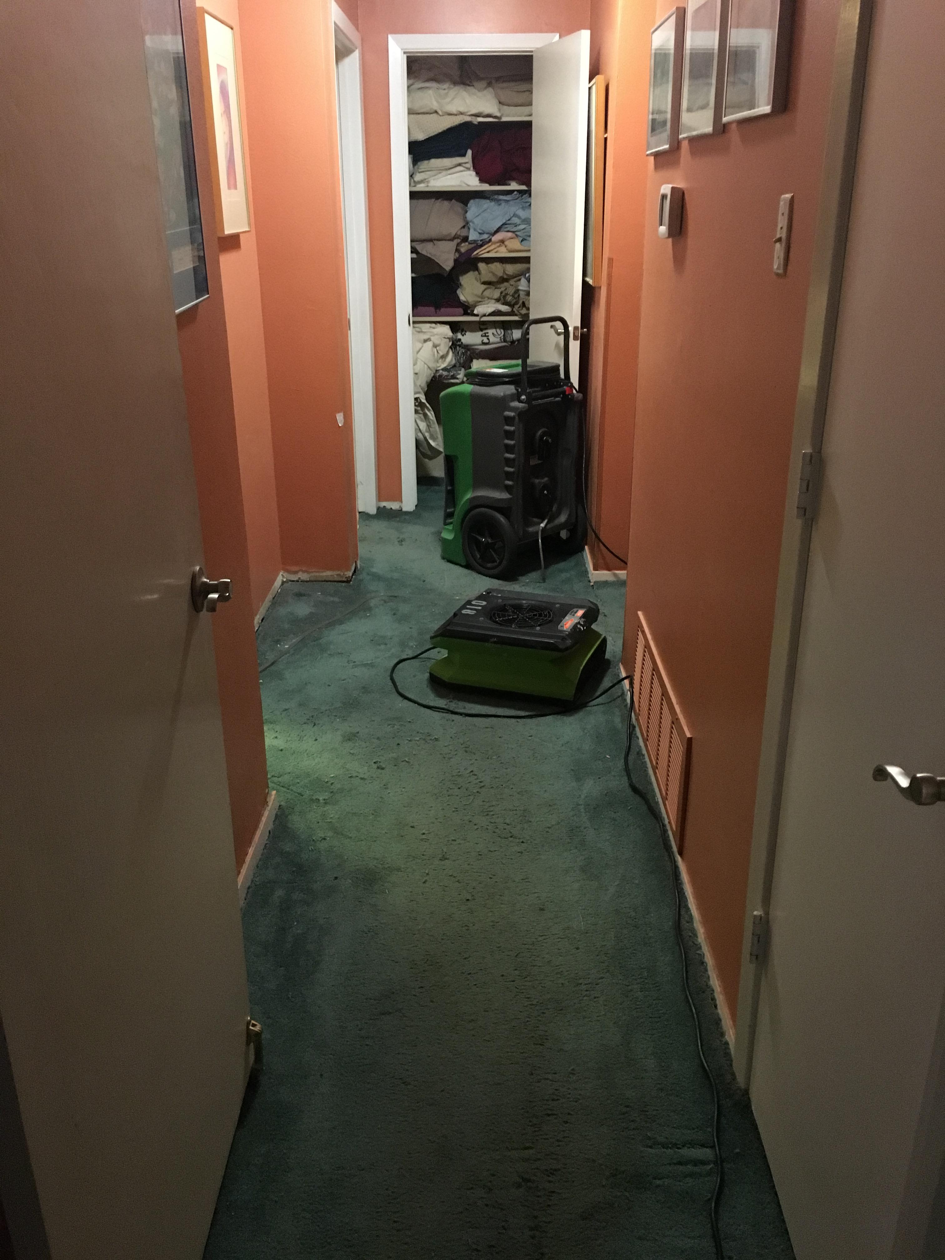 SERVPRO of Northeast Dallas Photo