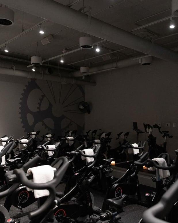 Images purvelo Charlottesville