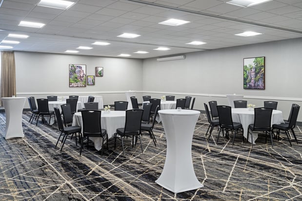 Images Holiday Inn Sioux Falls-City Centre by IHG