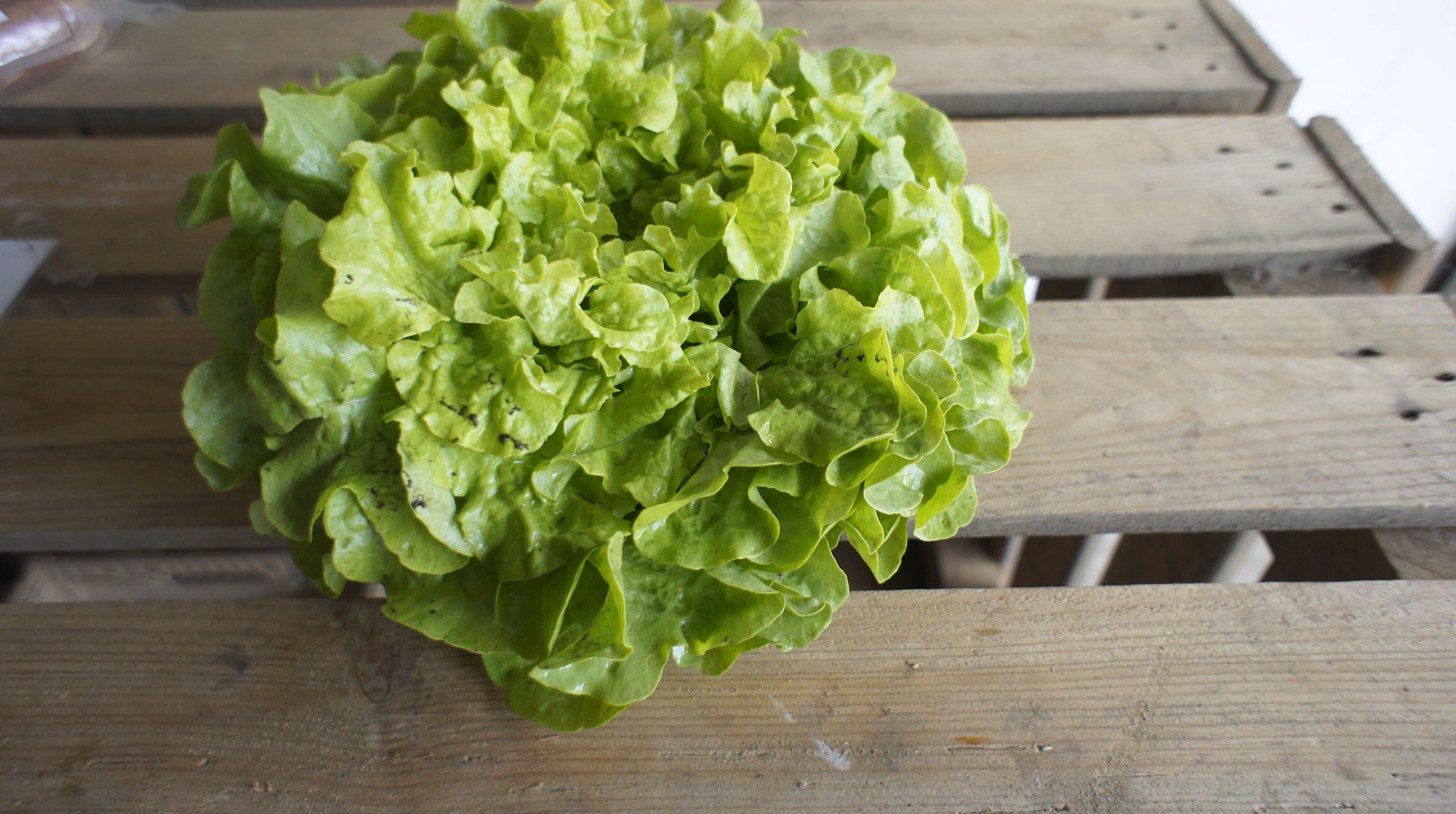 Brunkshof, Karsten Indorf, Theke der norddeutschen Direktvermarkter, Eichenstr. 13 in Stemmen