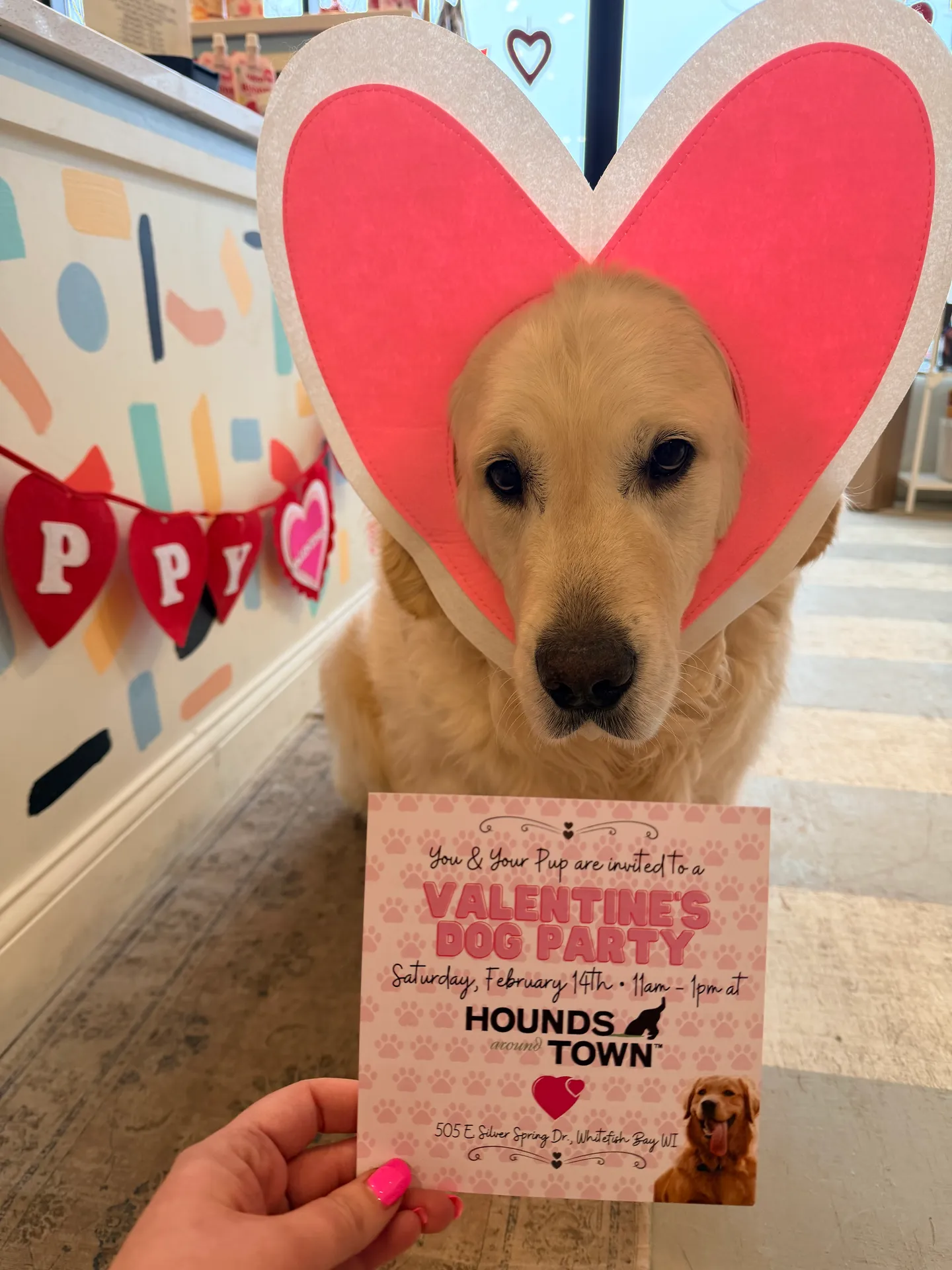 Image of Local Pet Event Valentine's Day Pup Party Nearby