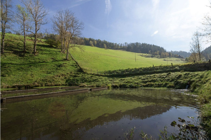 Bild 2 von Freizeitanlage Karl-Wirt