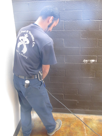 Images Bills Pest Termite Control