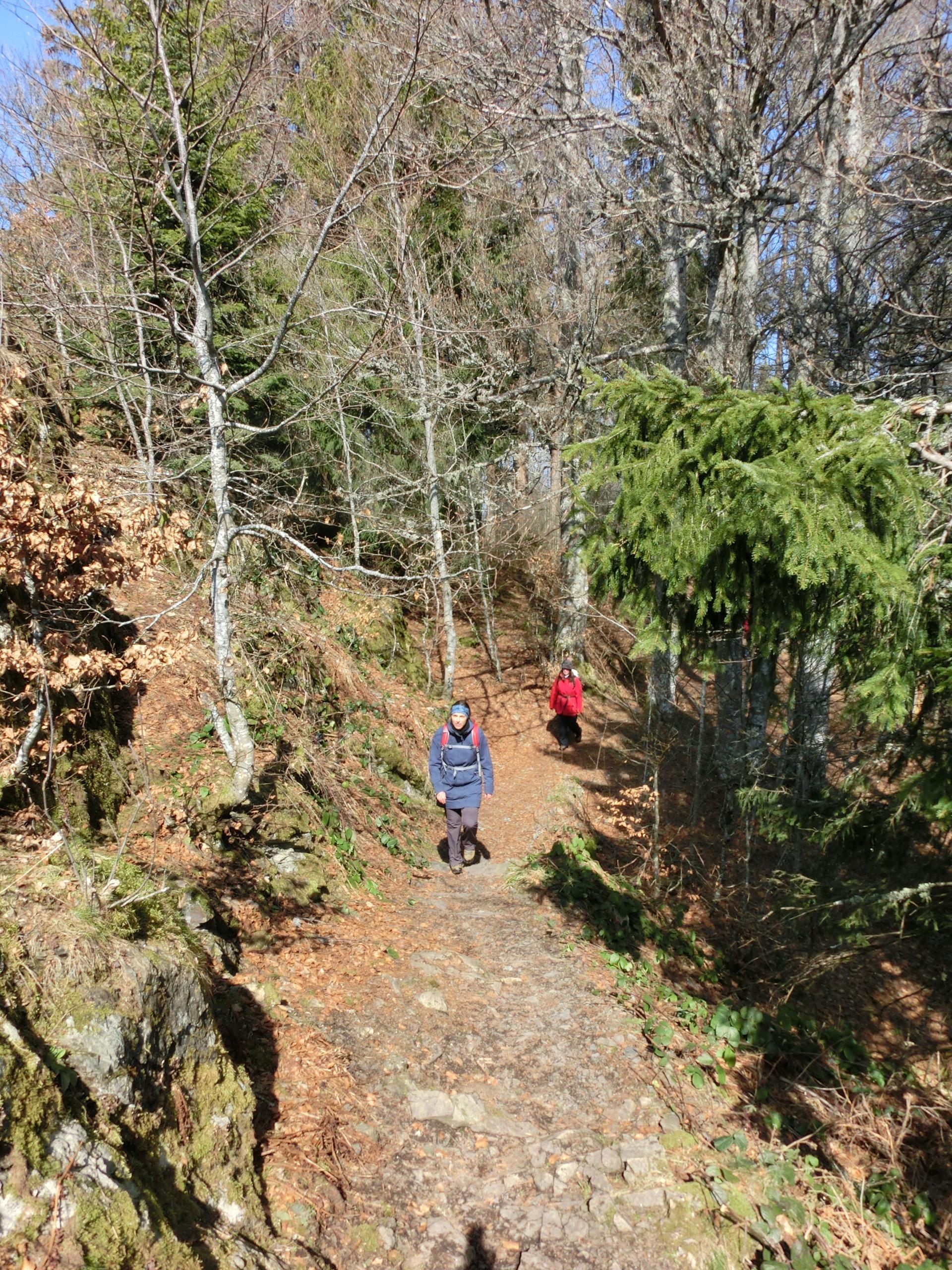 Bild 13 Erlebnisfasten - Fastenwandern Schwarzwald in Menzenschwand