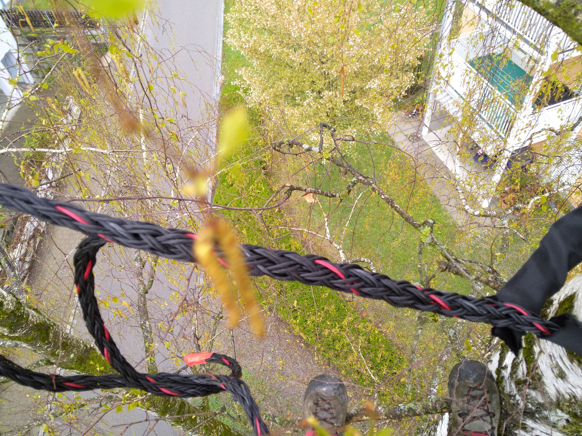 Baumpflege-Gallusser, Bergstrasse 3 in Hinteregg