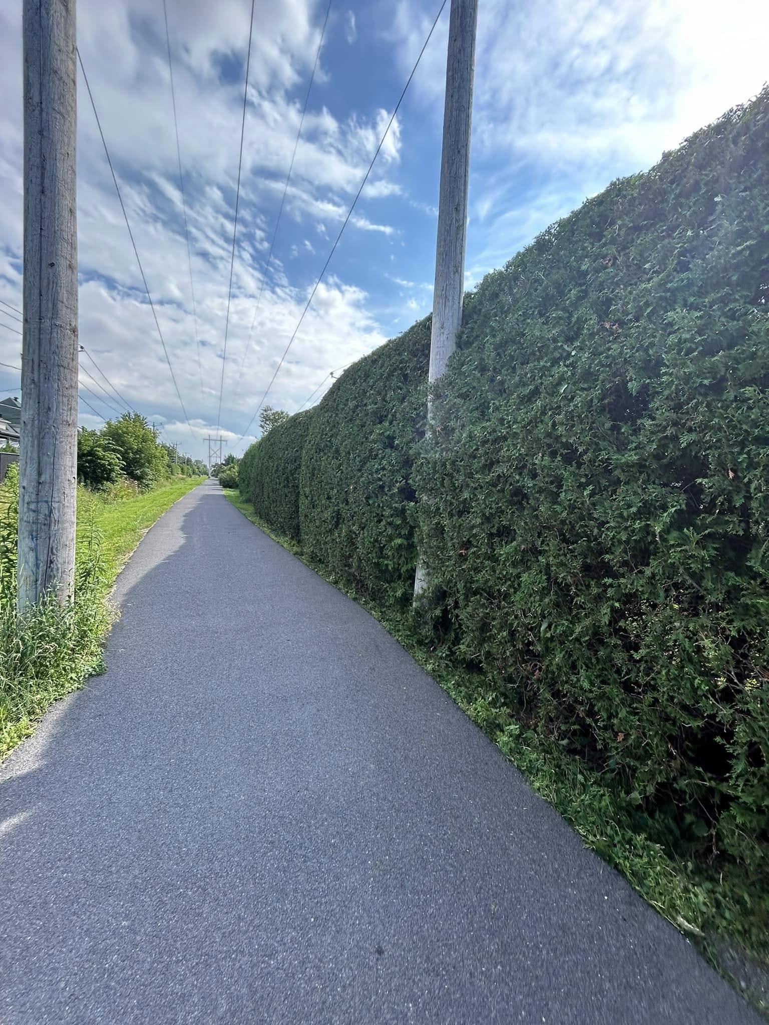 Images Taille de haie EB - Entretien de haie Saint-Hyacinthe